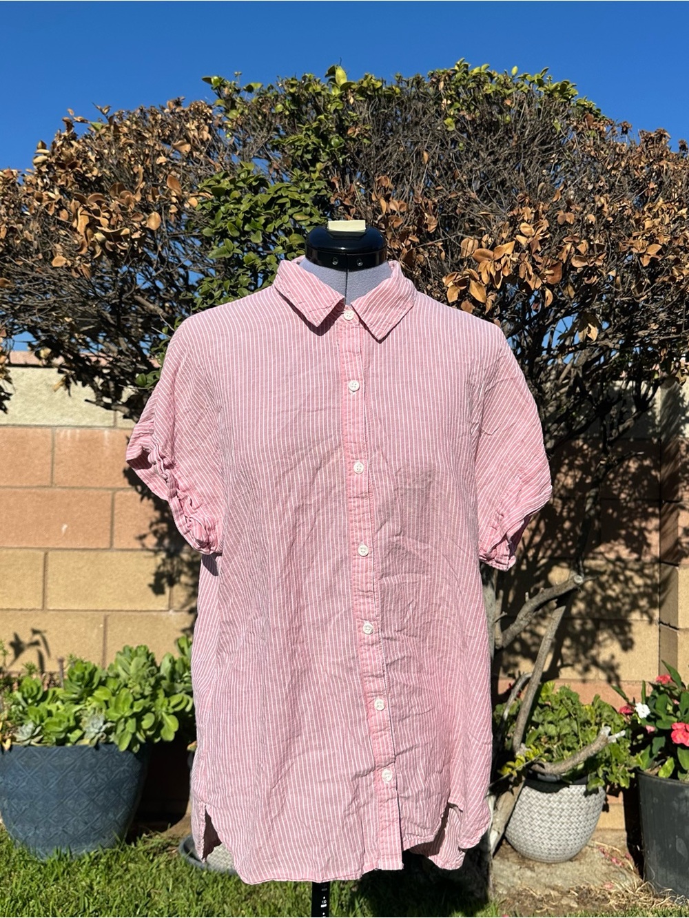 Women's Pink/Red Striped Short-Sleeve Button-Down Shirt Size Large